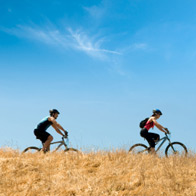 Physical Exercise Question
