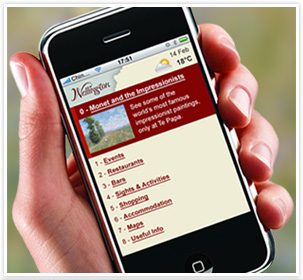 mobile website
