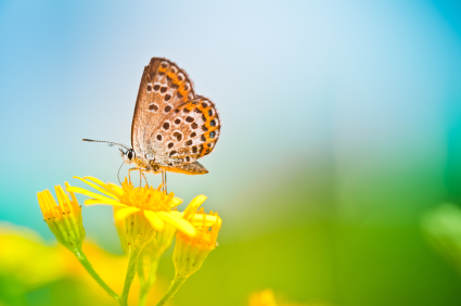 Make sure you say thank you – Happy Mother’s Day